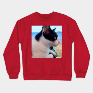 Cat on the Beach Crewneck Sweatshirt